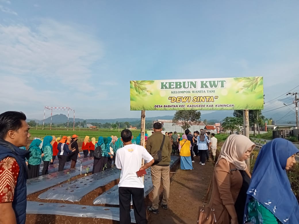 Pemdes Babatan Kuningan Gelar Tanam Cabai Serentak, Upaya Sejahterakan Rakyat dan Kendalikan Inflasi